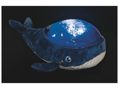 Velryba - noční světlo - vodní sen