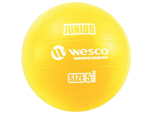 Volejbalový míč junior